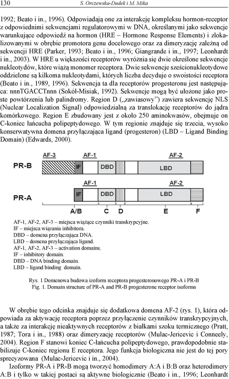 zlokalizowanymi w obrębie promotora genu docelowego oraz za dimeryzację zależną od sekwencji HRE (Parker, 1993; Beato i in., 1996; Giangrande i in., 1997; Leonhardt i in., 2003).