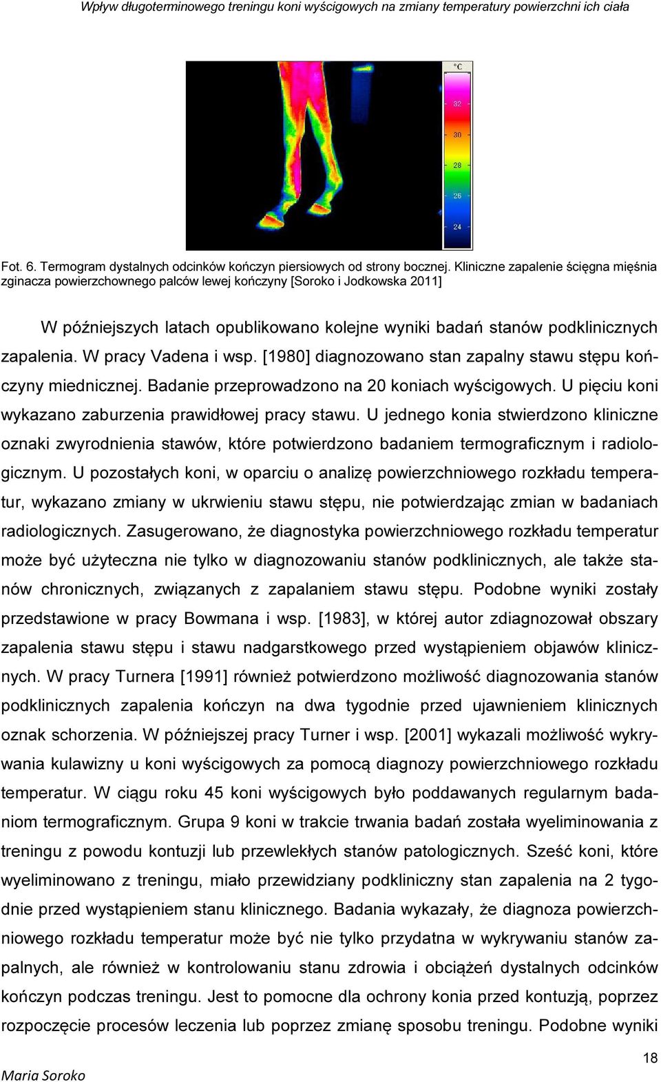 W pracy Vadena i wsp. [1980] diagnozowano stan zapalny stawu stępu kończyny miednicznej. Badanie przeprowadzono na 20 koniach wyścigowych. U pięciu koni wykazano zaburzenia prawidłowej pracy stawu.