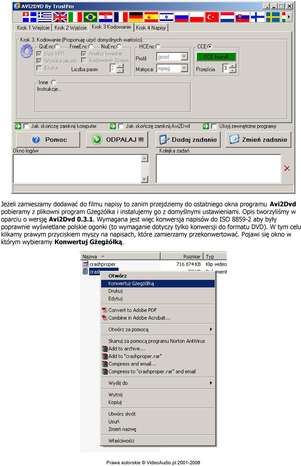 Wymagana jest więc konwersja napisów do ISO 8859-2 aby były poprawnie wyświetlane polskie ogonki (to wymaganie dotyczy tylko