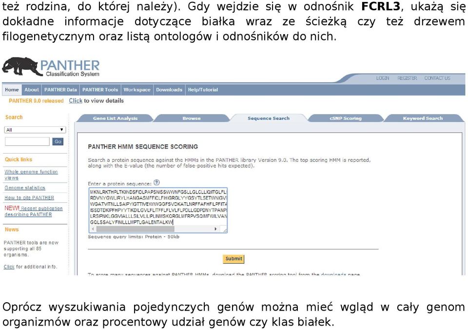 wraz ze ścieżką czy też drzewem filogenetycznym oraz listą ontologów i odnośników