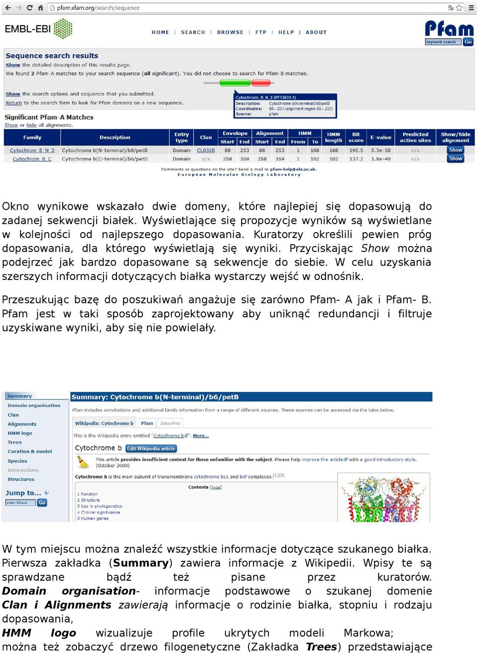 W celu uzyskania szerszych informacji dotyczących białka wystarczy wejść w odnośnik. Przeszukując bazę do poszukiwań angażuje się zarówno Pfam- A jak i Pfam- B.
