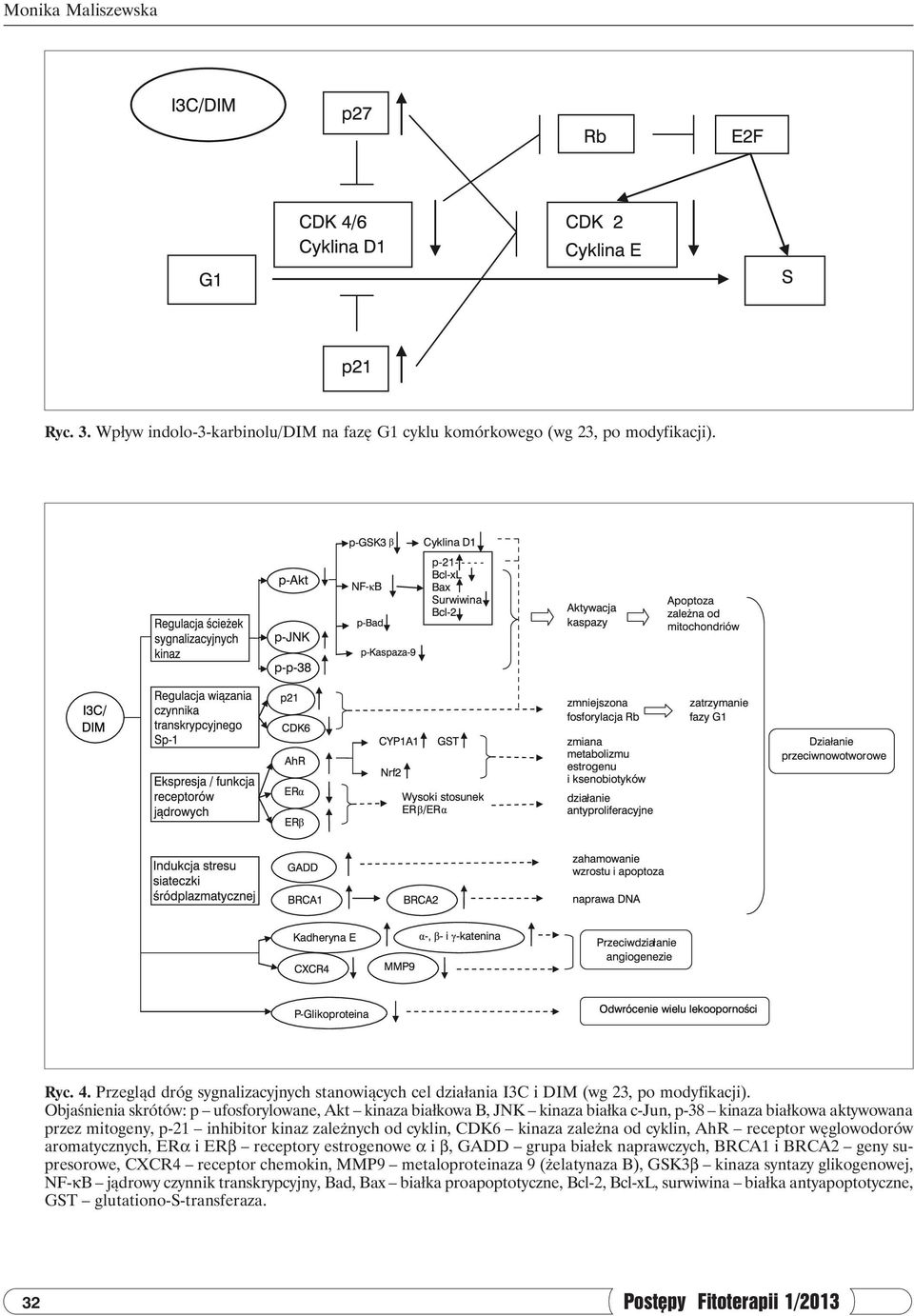 Objaśnienia skrótów: p ufosforylowane, Akt kinaza białkowa B, JNK kinaza białka c-jun, p-38 kinaza białkowa aktywowana przez mitogeny, p-21 inhibitor kinaz zależnych od cyklin, CDK6 kinaza zależna od