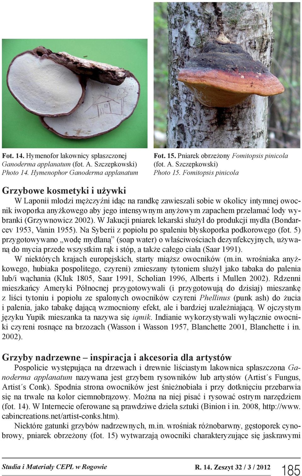 przełamać lody wybranki (Grzywnowicz 2002). W Jakucji pniarek lekarski służył do produkcji mydła (Bondarcev 1953, Vanin 1955). Na Syberii z popiołu po spaleniu błyskoporka podkorowego (fot.