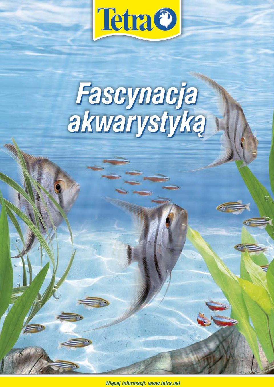 Więcej