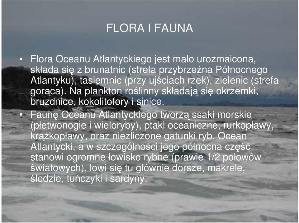 Faunę Oceanu Atlantyckiego tworzą ssaki morskie (płetwonogie i wieloryby), ptaki oceaniczne, rurkopławy, krążkopławy, oraz niezliczone gatunki ryb.