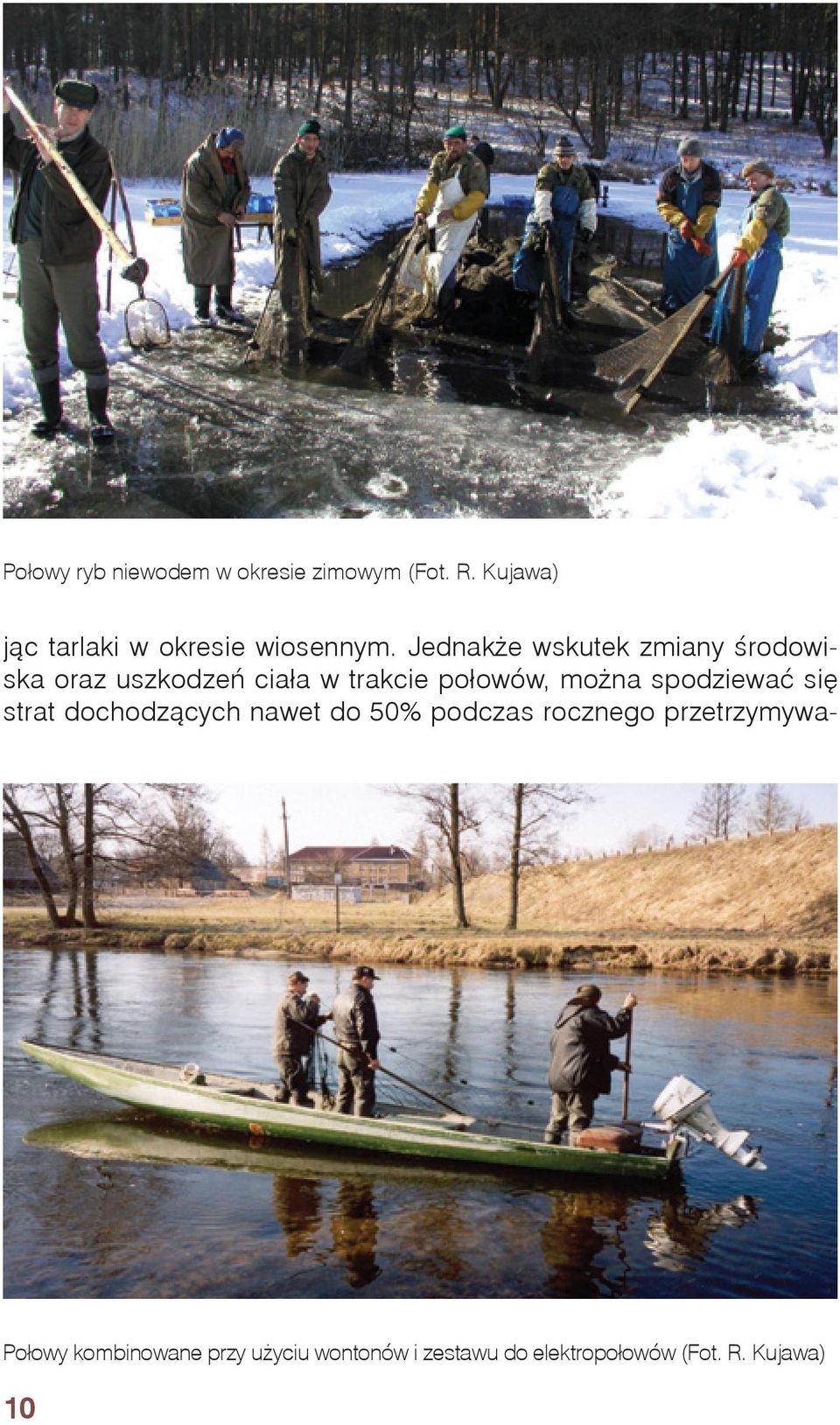 Jednakże wskutek zmiany środowiska oraz uszkodzeń ciała w trakcie połowów, można