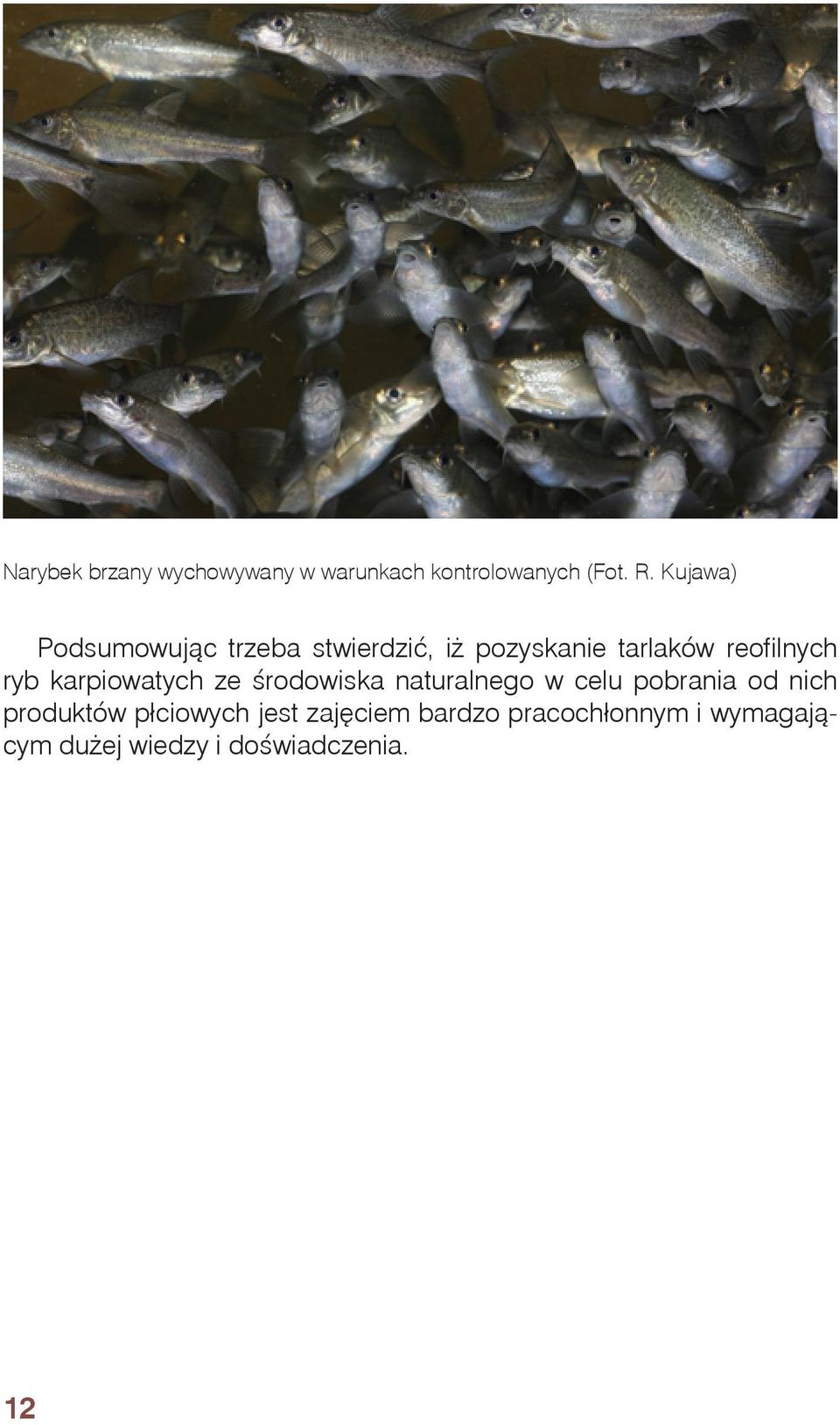 ryb karpiowatych ze środowiska naturalnego w celu pobrania od nich produktów