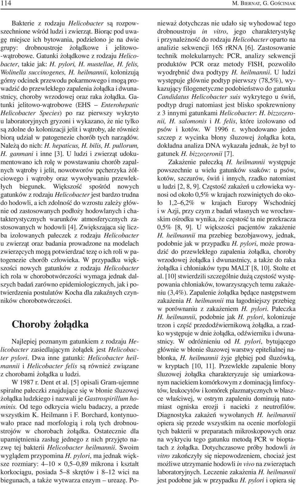 felis, Wolinella succinogenes, H. heilmannii, kolonizują górny odcinek przewodu pokarmowego i mogą pro wadzić do przewlekłego zapalenia żołądka i dwuna stnicy, choroby wrzodowej oraz raka żołądka.