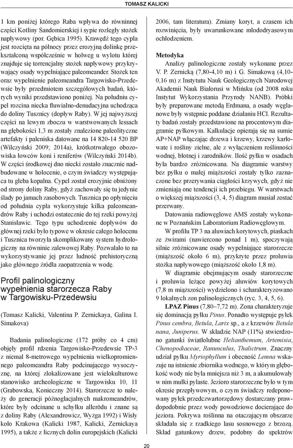 paleomeander. Stożek ten oraz wypełnienie paleomeandra Targowisko-Przedewsie były przedmiotem szczegółowych badań, których wyniki przedstawiono poniżej.