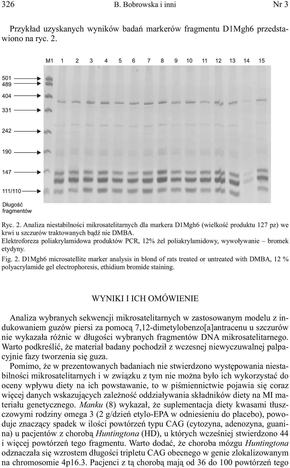 Elektroforeza poliakrylamidowa produktów PCR, 12% żel poliakrylamidowy, wywoływanie bromek etydyny. Fig. 2.