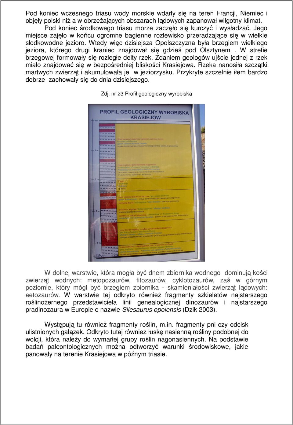 Wtedy więc dzisiejsza Opolszczyzna była brzegiem wielkiego jeziora, którego drugi kraniec znajdował się gdzieś pod Olsztynem. W strefie brzegowej formowały się rozległe delty rzek.