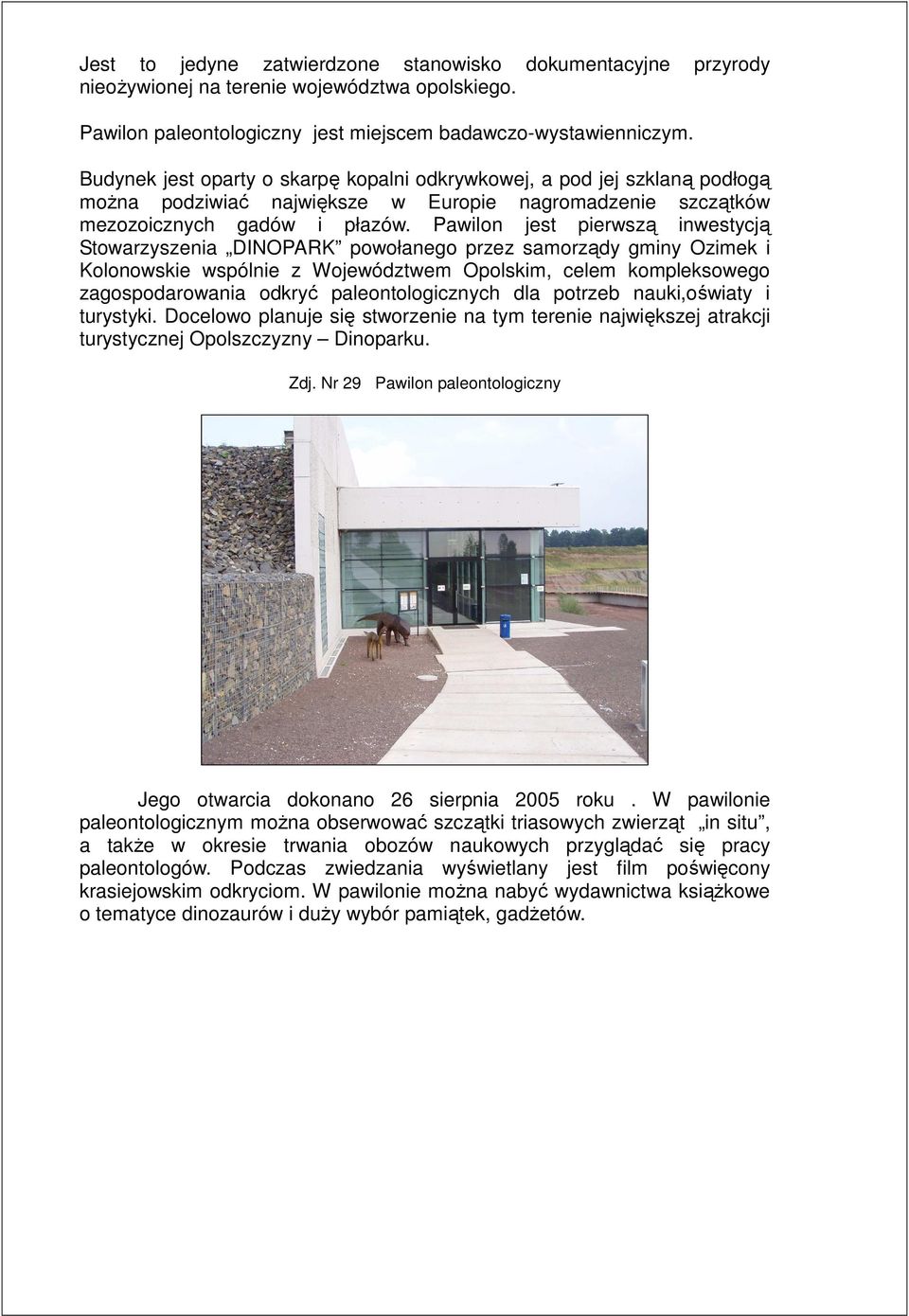 Pawilon jest pierwszą inwestycją Stowarzyszenia DINOPARK powołanego przez samorządy gminy Ozimek i Kolonowskie wspólnie z Województwem Opolskim, celem kompleksowego zagospodarowania odkryć