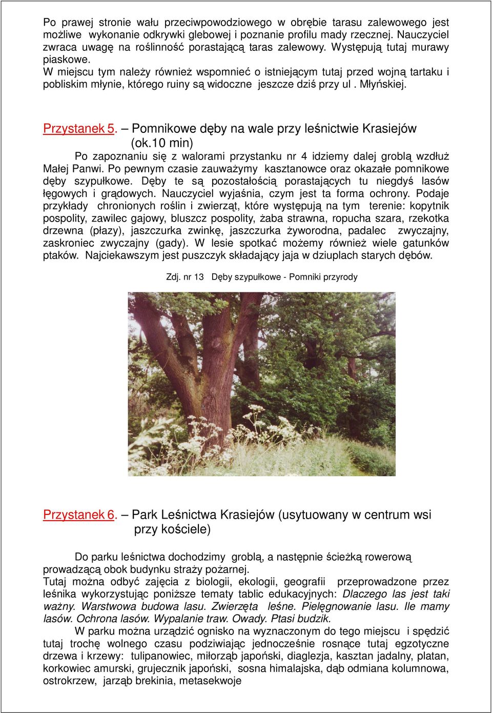 W miejscu tym naleŝy równieŝ wspomnieć o istniejącym tutaj przed wojną tartaku i pobliskim młynie, którego ruiny są widoczne jeszcze dziś przy ul. Młyńskiej. Przystanek 5.