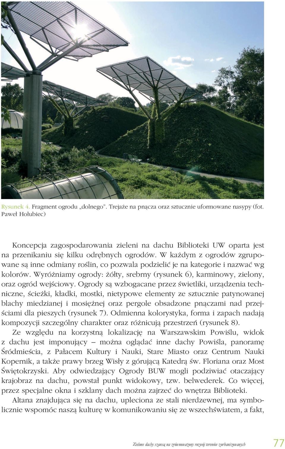 W każdym z ogrodów zgrupowane są inne odmiany roślin, co pozwala podzielić je na kategorie i nazwać wg kolorów. Wyróżniamy ogrody: żółty, srebrny (rysunek 6), karminowy, zielony, oraz ogród wejściowy.