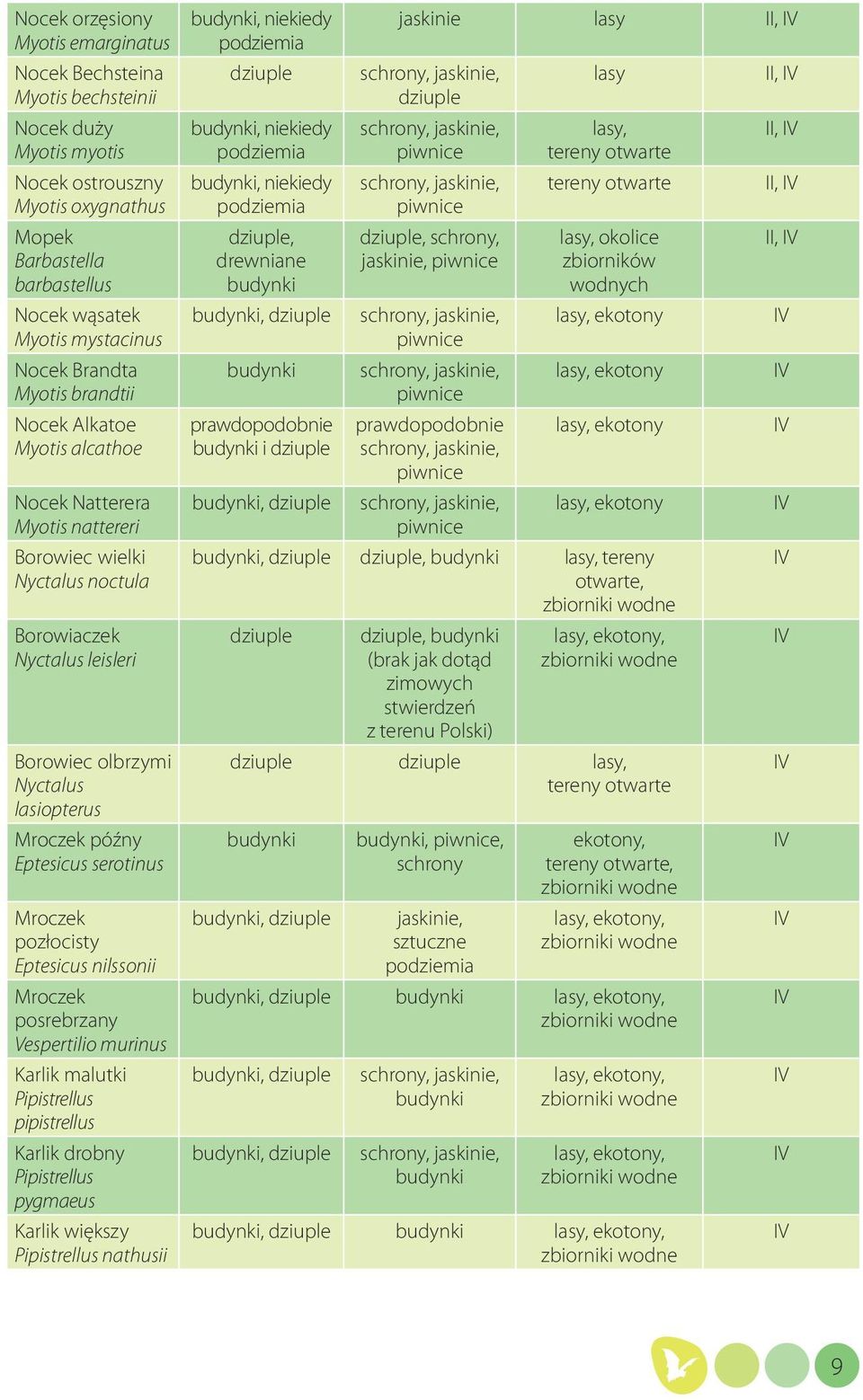 późny Eptesicus serotinus Mroczek pozłocisty Eptesicus nilssonii Mroczek posrebrzany Vespertilio murinus Karlik malutki Pipistrellus pipistrellus Karlik drobny Pipistrellus pygmaeus Karlik większy