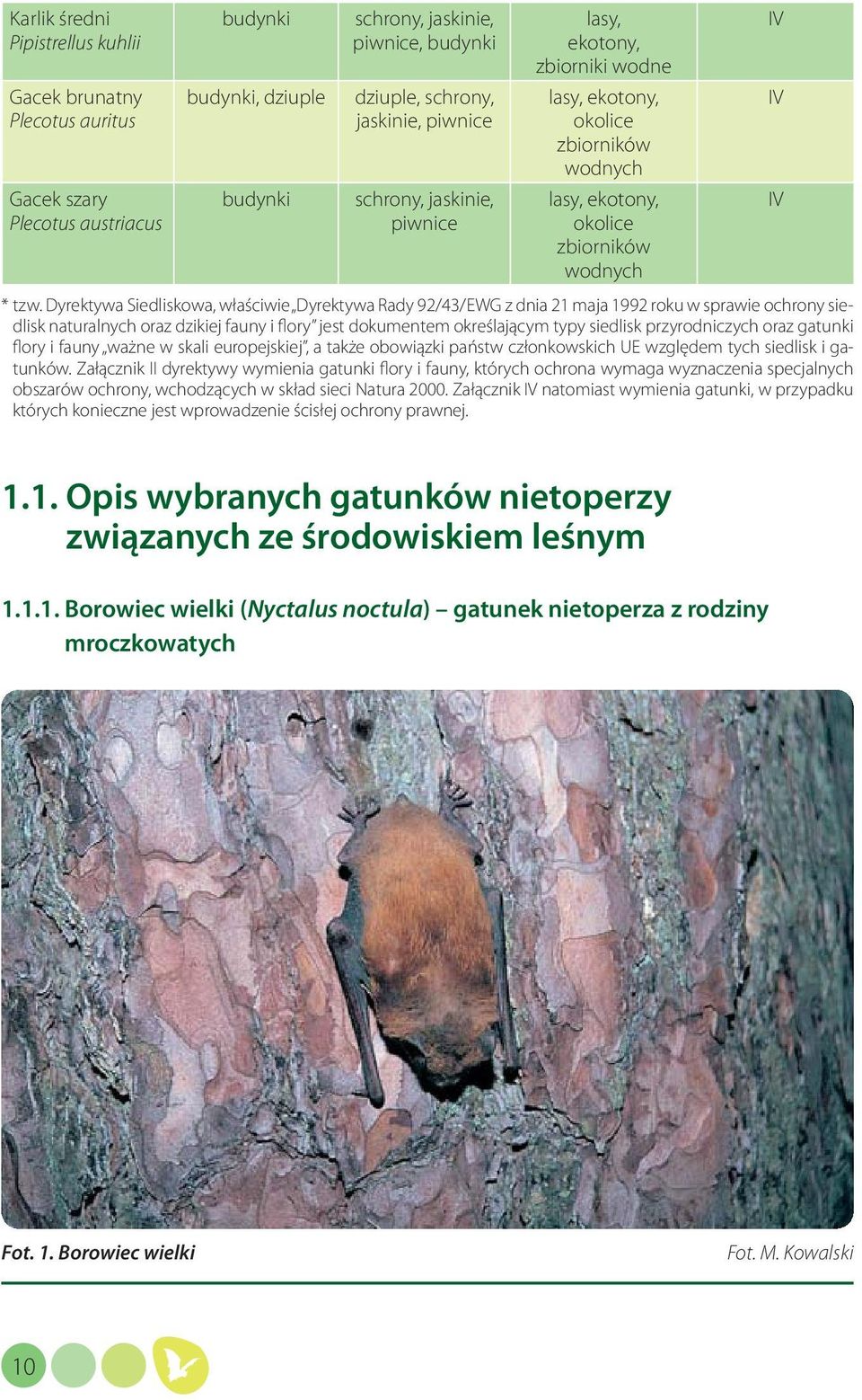 Dyrektywa Siedliskowa, właściwie Dyrektywa Rady 92/43/EWG z dnia 21 maja 1992 roku w sprawie ochrony siedlisk naturalnych oraz dzikiej fauny i flory jest dokumentem określającym typy siedlisk