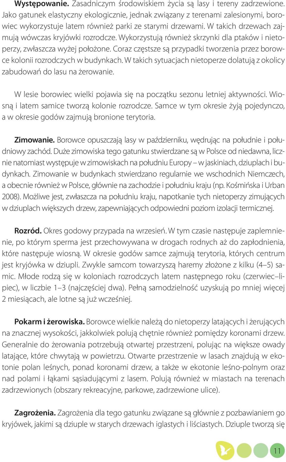 Wykorzystują również skrzynki dla ptaków i nietoperzy, zwłaszcza wyżej położone. Coraz częstsze są przypadki tworzenia przez borowce kolonii rozrodczych w budynkach.