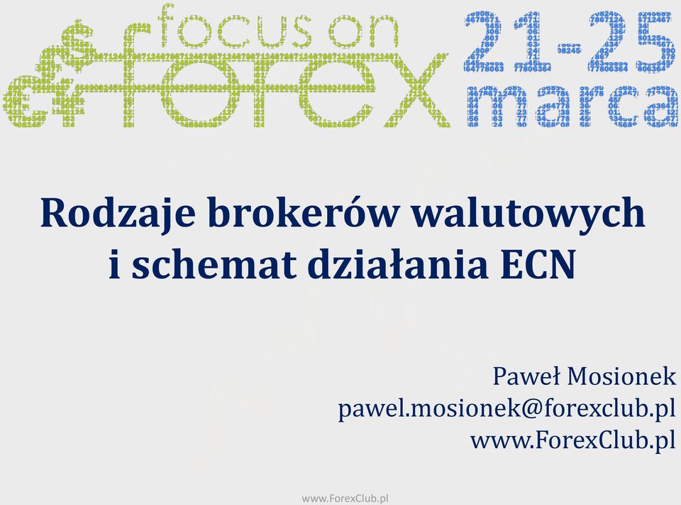 działania ECN Paweł