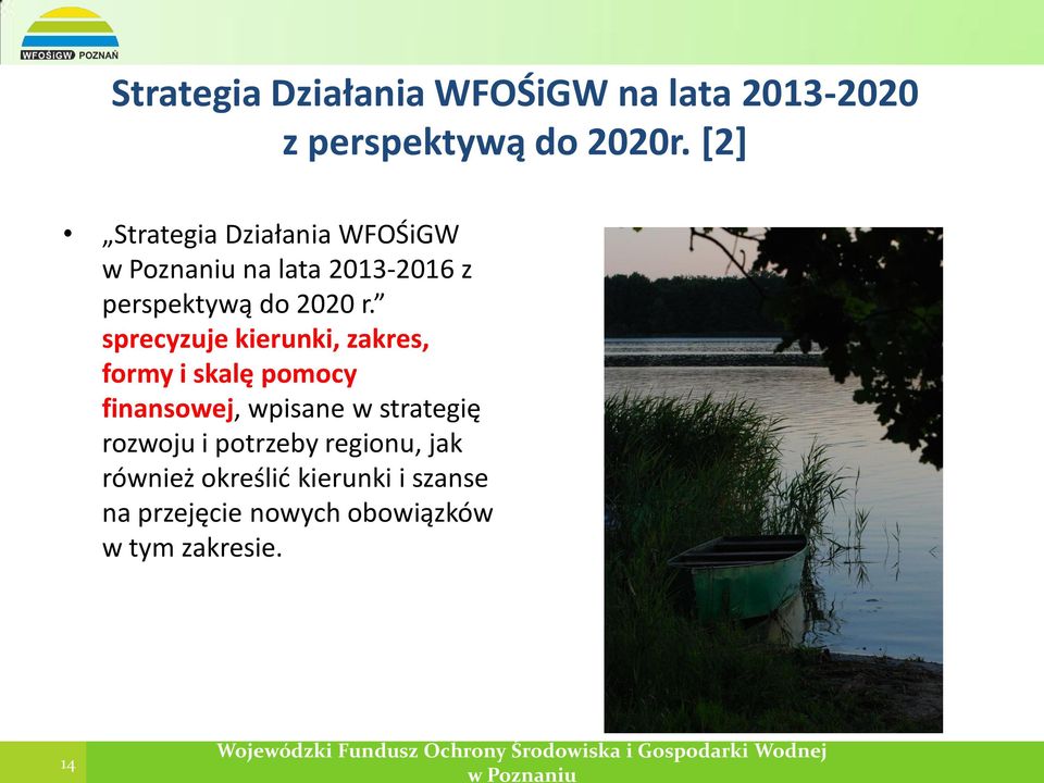 sprecyzuje kierunki, zakres, formy i skalę pomocy finansowej, wpisane w strategię rozwoju i potrzeby regionu, jak