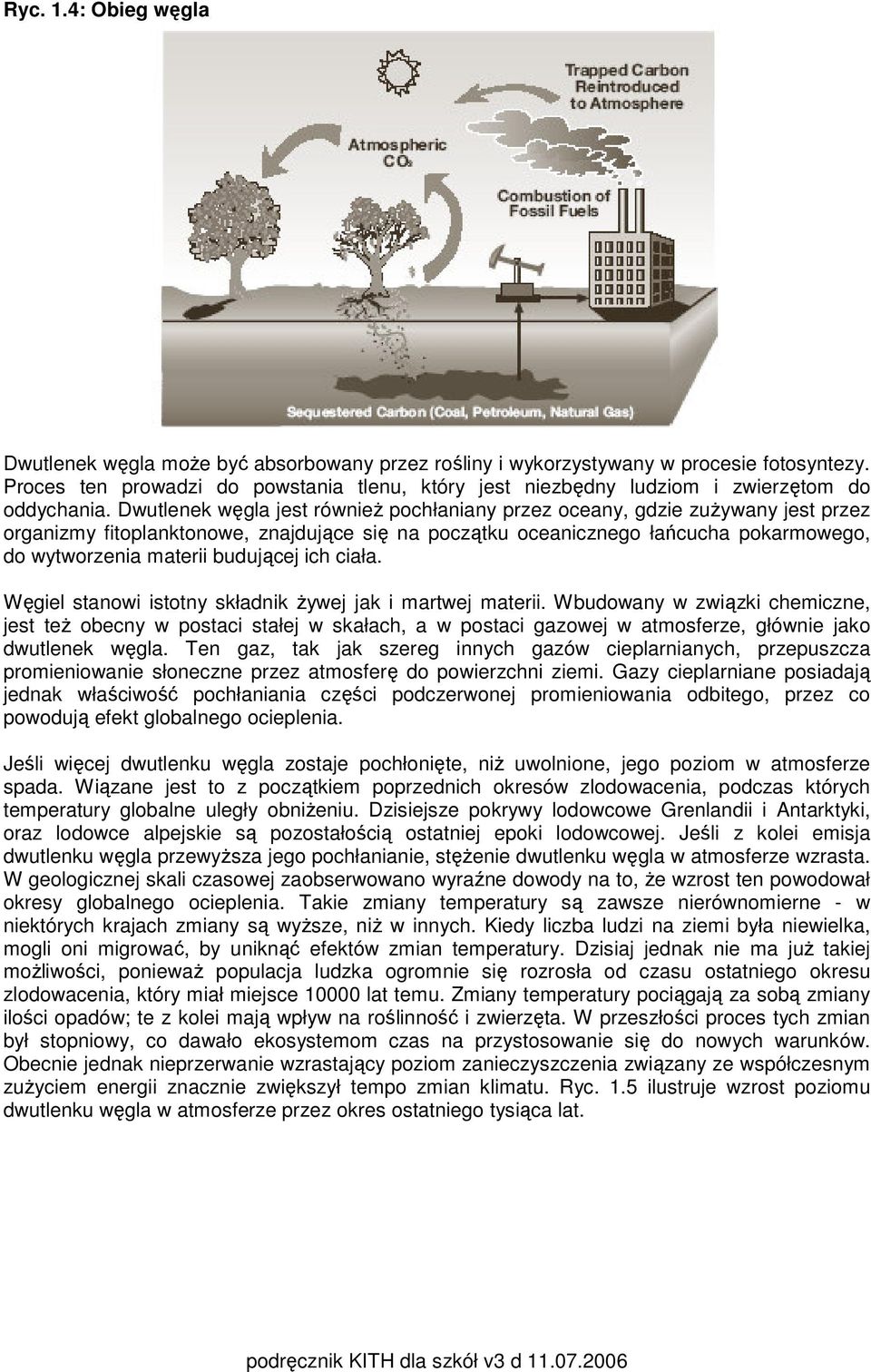 Dwutlenek węgla jest również pochłaniany przez oceany, gdzie zużywany jest przez organizmy fitoplanktonowe, znajdujące się na początku oceanicznego łańcucha pokarmowego, do wytworzenia materii