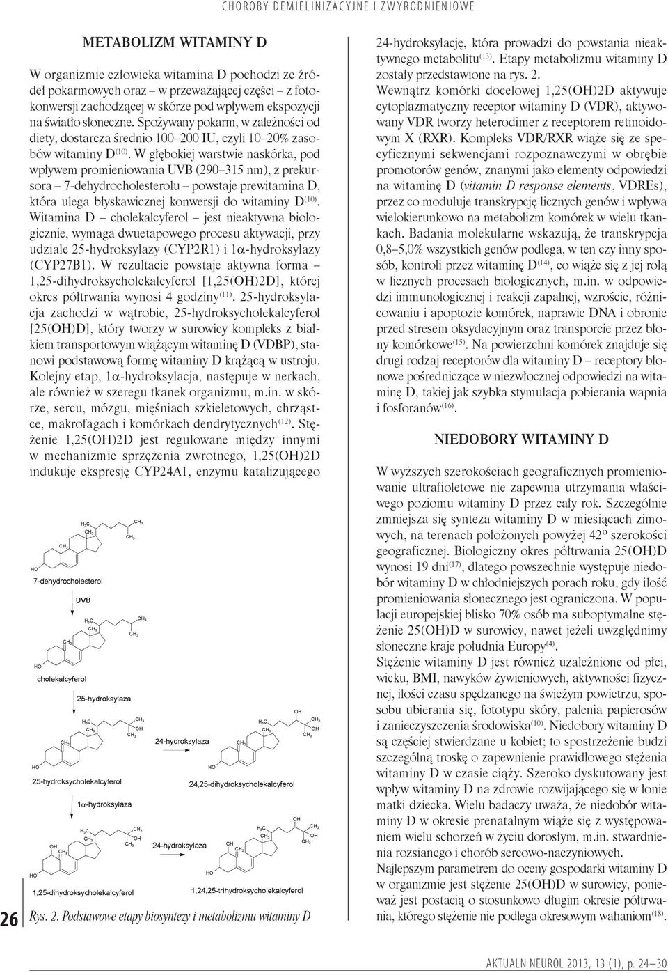W głębokiej warstwie naskórka, pod wpływem promieniowania UVB (290 315 nm), z prekursora 7-dehydrocholesterolu powstaje prewitamina D, która ulega błyskawicznej konwersji do witaminy D (10).