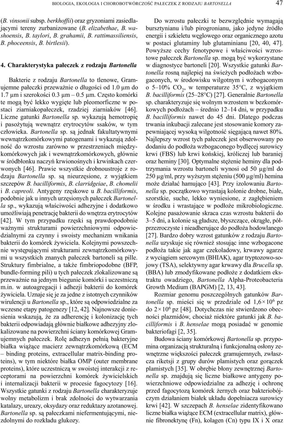 Charakterystyka pa³eczek z rodzaju Bartonella Bakterie z rodzaju Bartonella to tlenowe, Gramujemne pa³eczki przewa nie o d³ugoœci od 1.0 µm do 1.7 µm i szerokoœci 0.3 µm 0.5 µm.