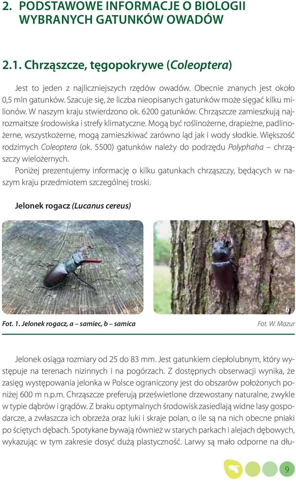 Mogą być roślinożerne, drapieżne, padlinożerne, wszystkożerne, mogą zamieszkiwać zarówno ląd jak i wody słodkie. Większość rodzimych Coleoptera (ok.