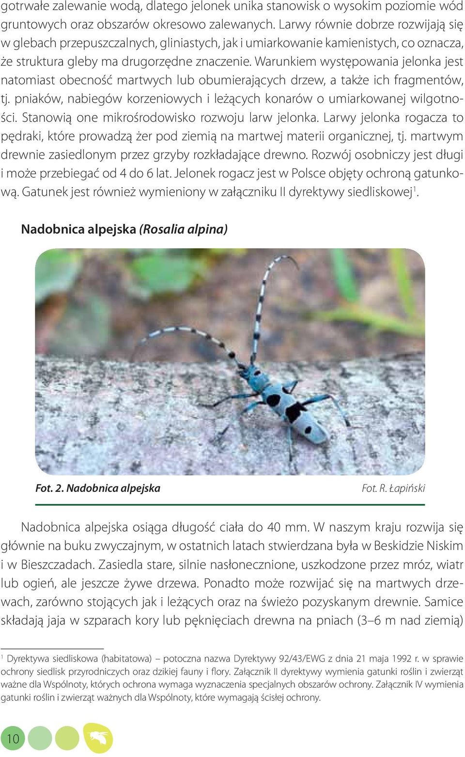 Warunkiem występowania jelonka jest natomiast obecność martwych lub obumierających drzew, a także ich fragmentów, tj. pniaków, nabiegów korzeniowych i leżących konarów o umiarkowanej wilgotności.
