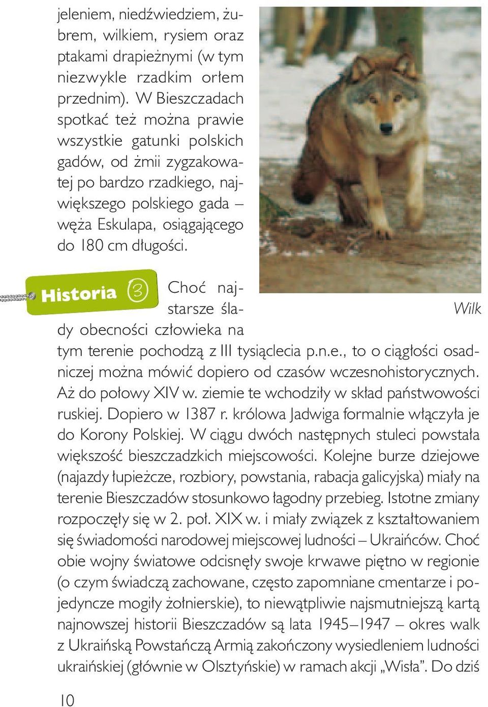 Choć najstarsze ślady obecności człowieka na Wilk tym terenie pochodzą z III tysiąclecia p.n.e., to o ciągłości osadniczej można mówić dopiero od czasów wczesnohistorycznych. Aż do połowy XIV w.