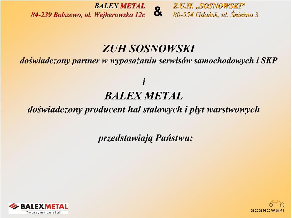 BALEX METAL doświadczony producent hal