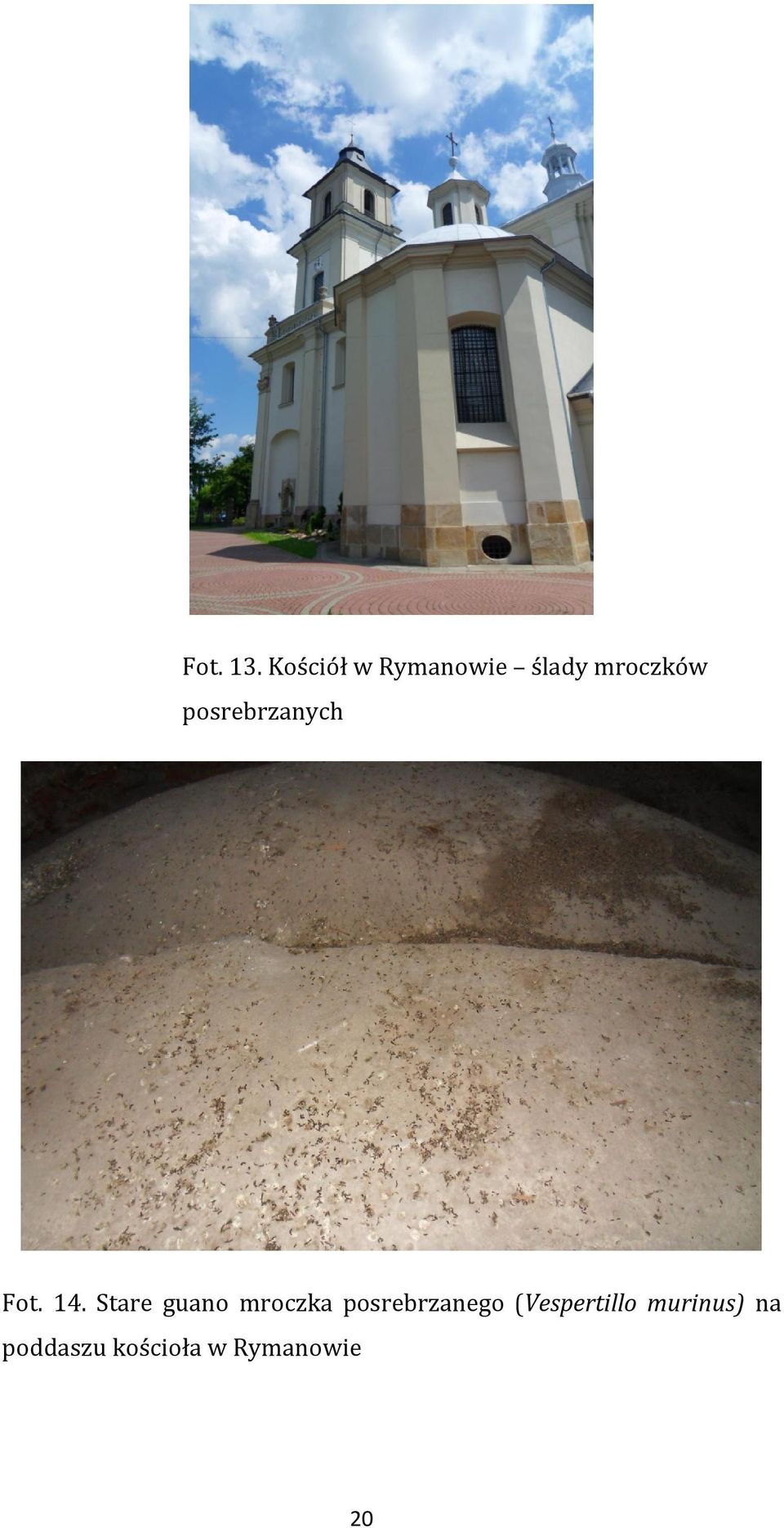 posrebrzanych Fot. 14.