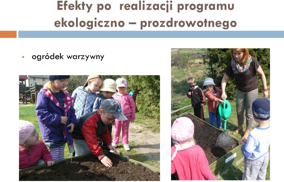 programu