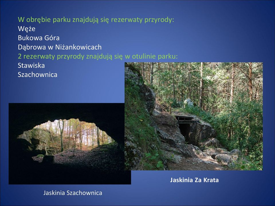 rezerwaty przyrody znajdują się w otulinie parku: