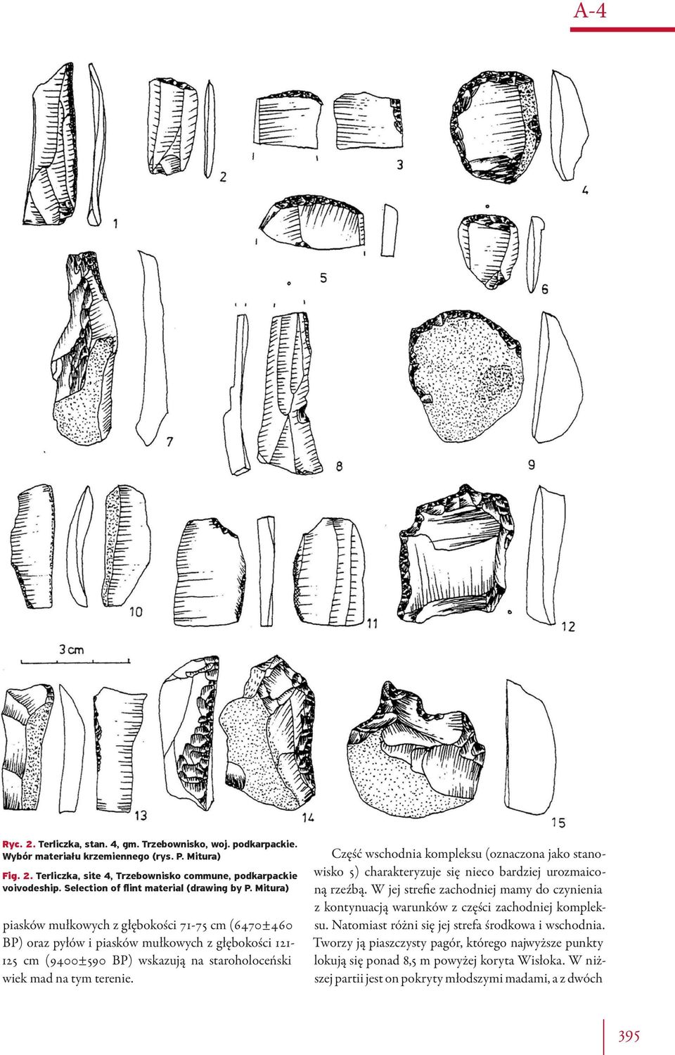 Mitura) piasków mułkowych z głębokości 71-75 cm (6470±460 BP) oraz pyłów i piasków mułkowych z głębokości 121-125 cm (9400±590 BP) wskazują na staroholoceński wiek mad na tym terenie.