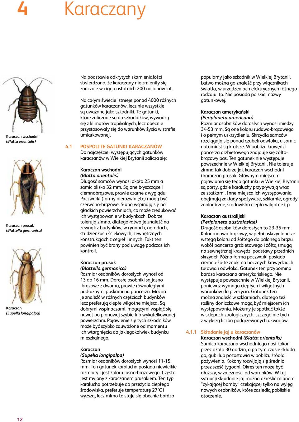 Te gatunki, które zaliczane są do szkodników, wywodzą się z klimatów tropikalnych, lecz obecnie przystosowały się do warunków życia w strefie umiarkowanej. 4.