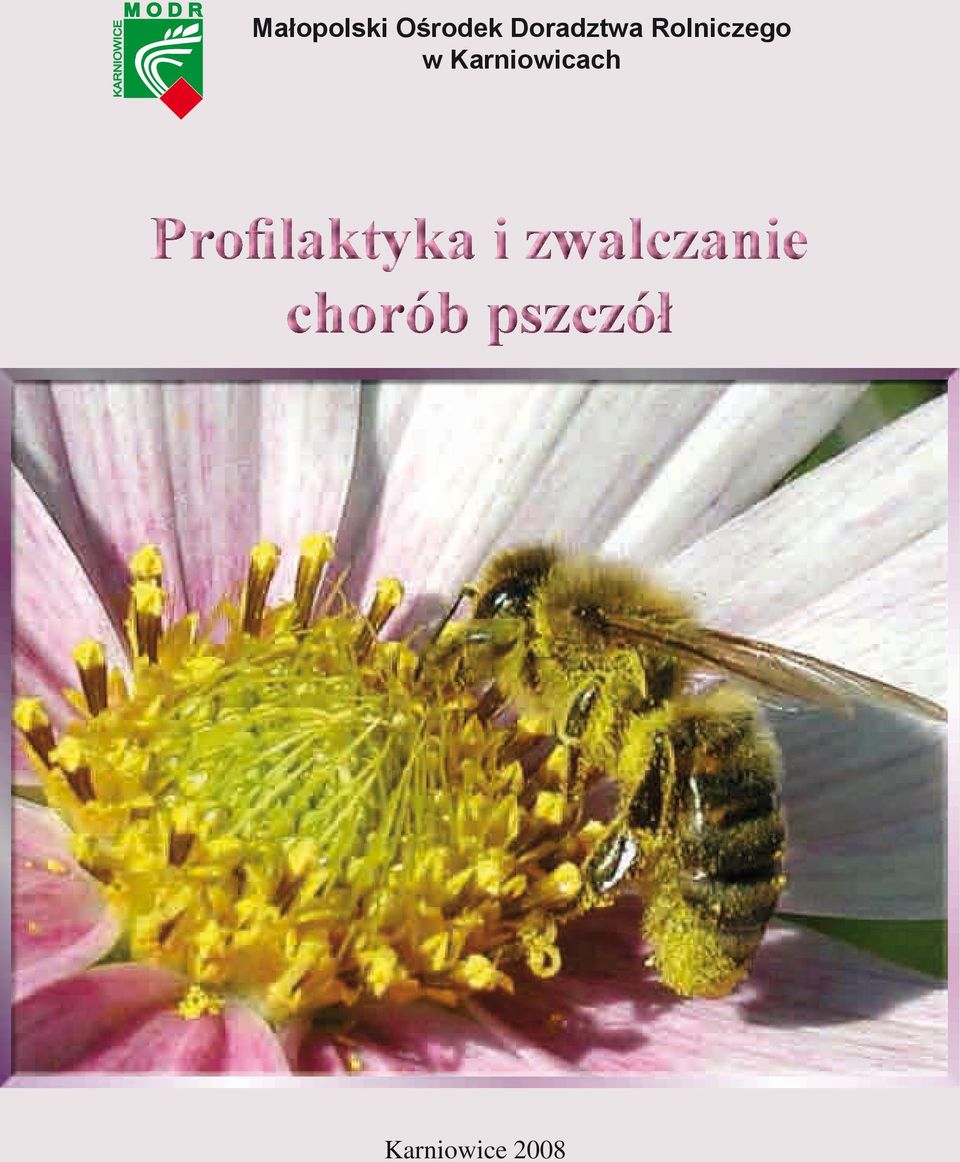 Karniowicach Profilaktyka i