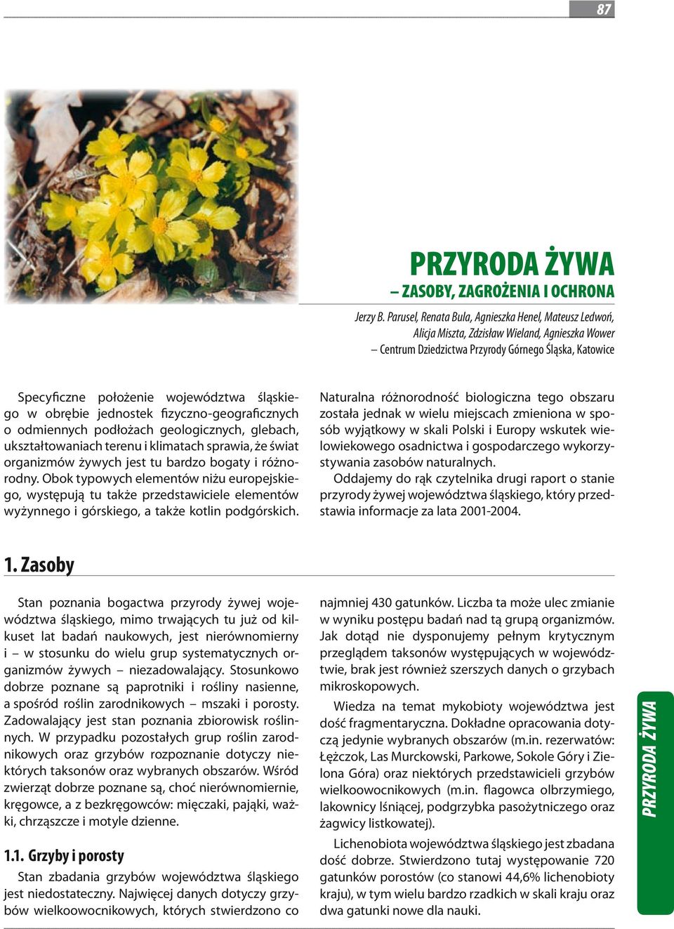 śląskiego w obrębie jednostek fizyczno-geograficznych o odmiennych podłożach geologicznych, glebach, ukształtowaniach terenu i klimatach sprawia, że świat organizmów żywych jest tu bardzo bogaty i