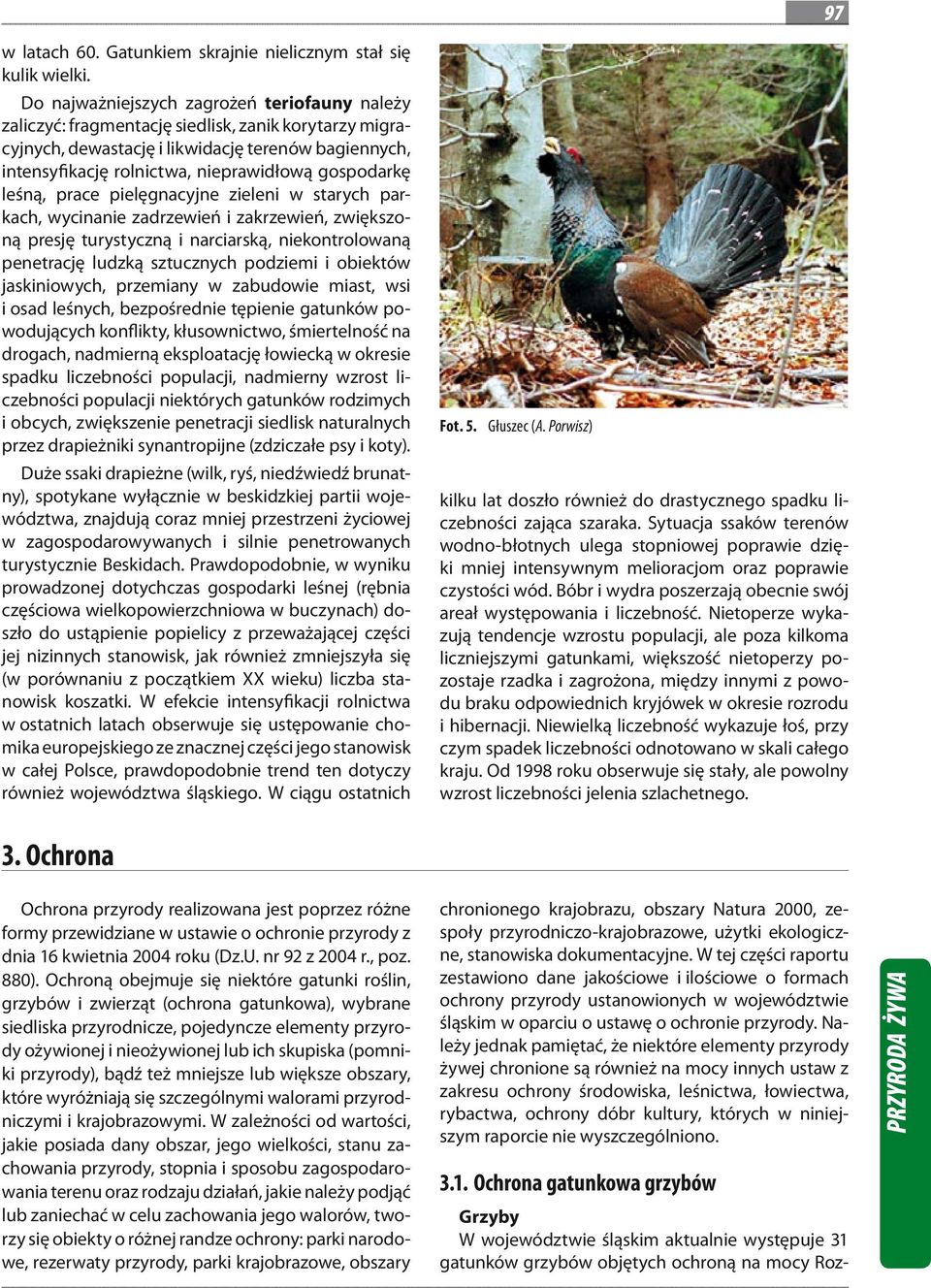 gospodarkę leśną, prace pielęgnacyjne zieleni w starych parkach, wycinanie zadrzewień i zakrzewień, zwiększoną presję turystyczną i narciarską, niekontrolowaną penetrację ludzką sztucznych podziemi i