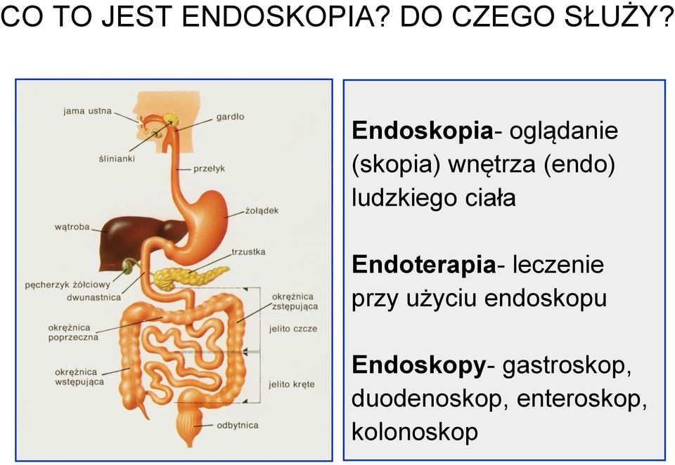 ludzkiego ciała Endoterapia- leczenie przy użyciu