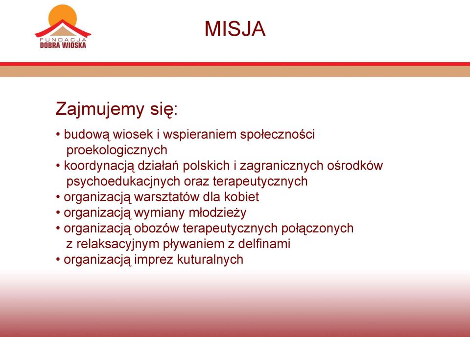 terapeutycznych organizacją warsztatów dla kobiet organizacją wymiany młodzieży