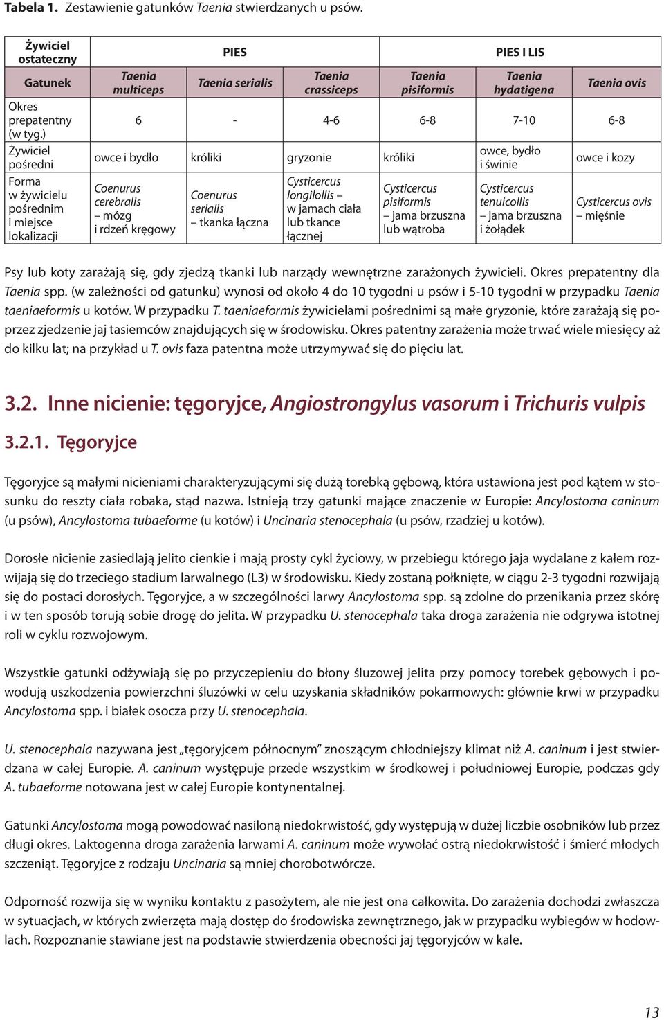 6-8 owce i bydło króliki gryzonie króliki Coenurus cerebralis mózg i rdzeń kręgowy Coenurus serialis tkanka łączna Cysticercus longilollis w jamach ciała lub tkance łącznej Cysticercus pisiformis