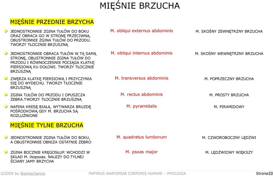 TWORZY TŁOCZNIE BRZUSZNĄ = ZWĘRZA KLATKĘ PIERSIOWĄ I PRZYCZYNIA SIĘ DO WYDECHU. TWORZY TŁOCZNIE BRZUSZNĄ = ZGINA TUŁÓW DO PRZODU I OPUSZCZA ŻEBRA.TWORZY TŁOCZNIE BRZUSZNĄ = NAPINA KRESĘ BIAŁĄ.