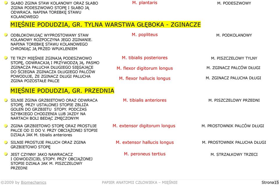 NAPINA TOREBKĘ STAWU KOLANOWEGO CHRONIĄC JĄ PRZED WPUKLENIEM = TE TRZY MIĘŚNIE ZGINAJĄ PODESZWOWO STOPĘ, ODWRACAJĄ I PRZYWODZĄ JĄ.