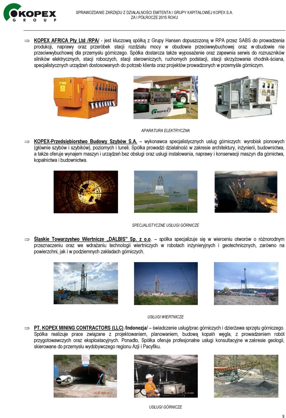 Spółka dostarcza także wyposażenie oraz zapewnia serwis do rozruszników silników elektrycznych, stacji roboczych, stacji sterowniczych, ruchomych podstacji, stacji skrzyżowania chodnik-ściana,