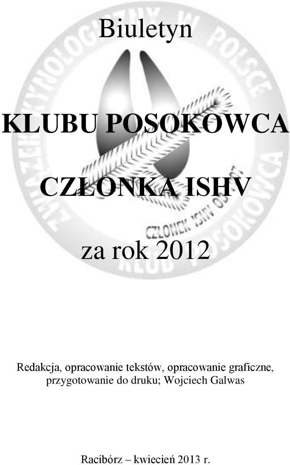 opracowanie graficzne, przygotowanie do