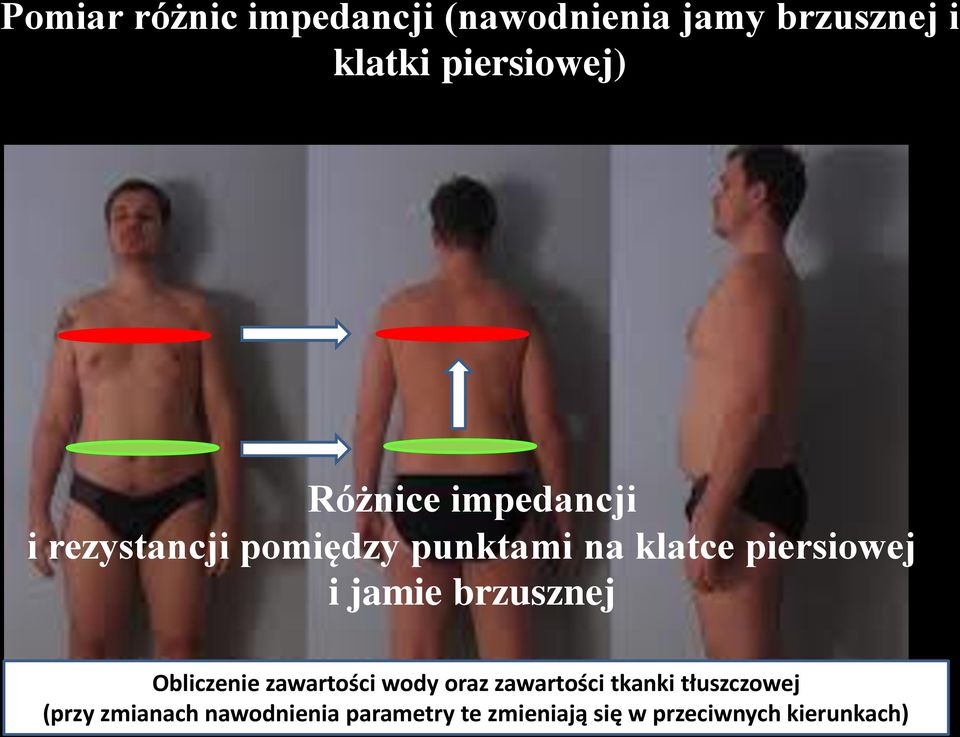 jamie brzusznej Obliczenie zawartości wody oraz zawartości tkanki