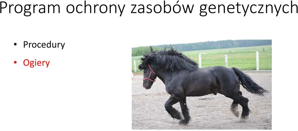 zasobów