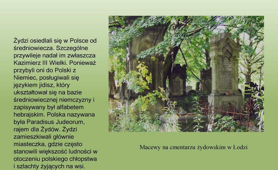 niemczyzny i zapisywany był alfabetem hebrajskim. Polska nazywana była Paradisus Judeorum, rajem dla Żydów.