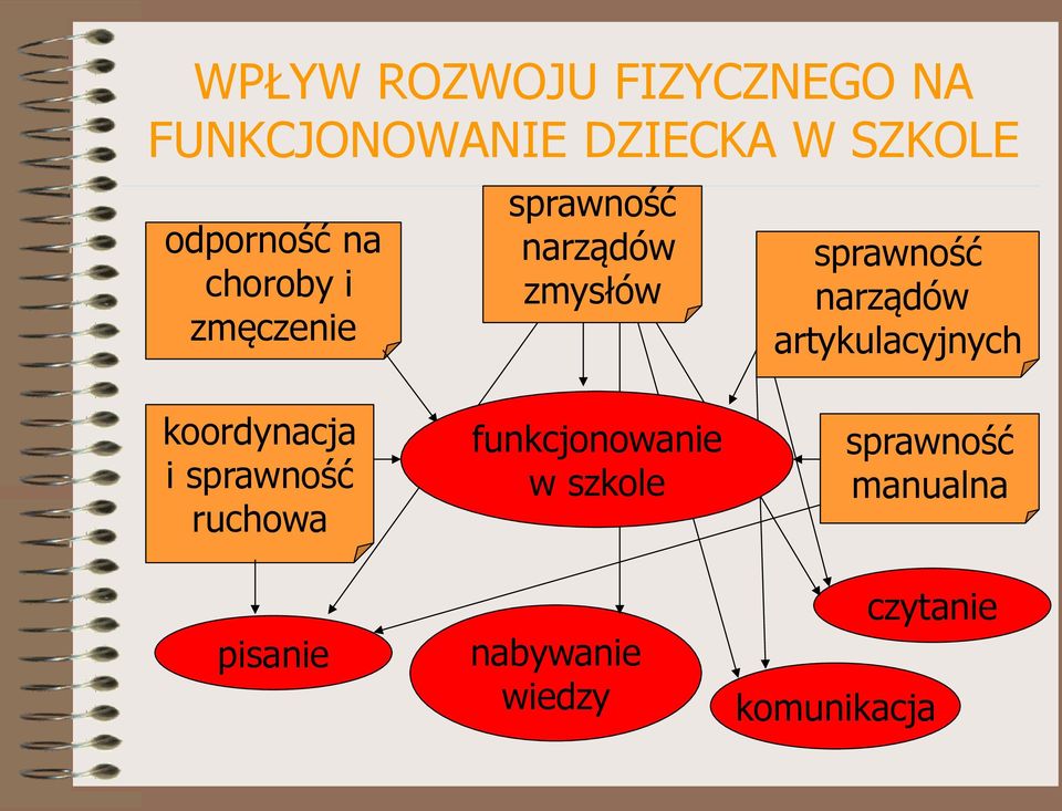 sprawność narządów artykulacyjnych koordynacja i sprawność ruchowa