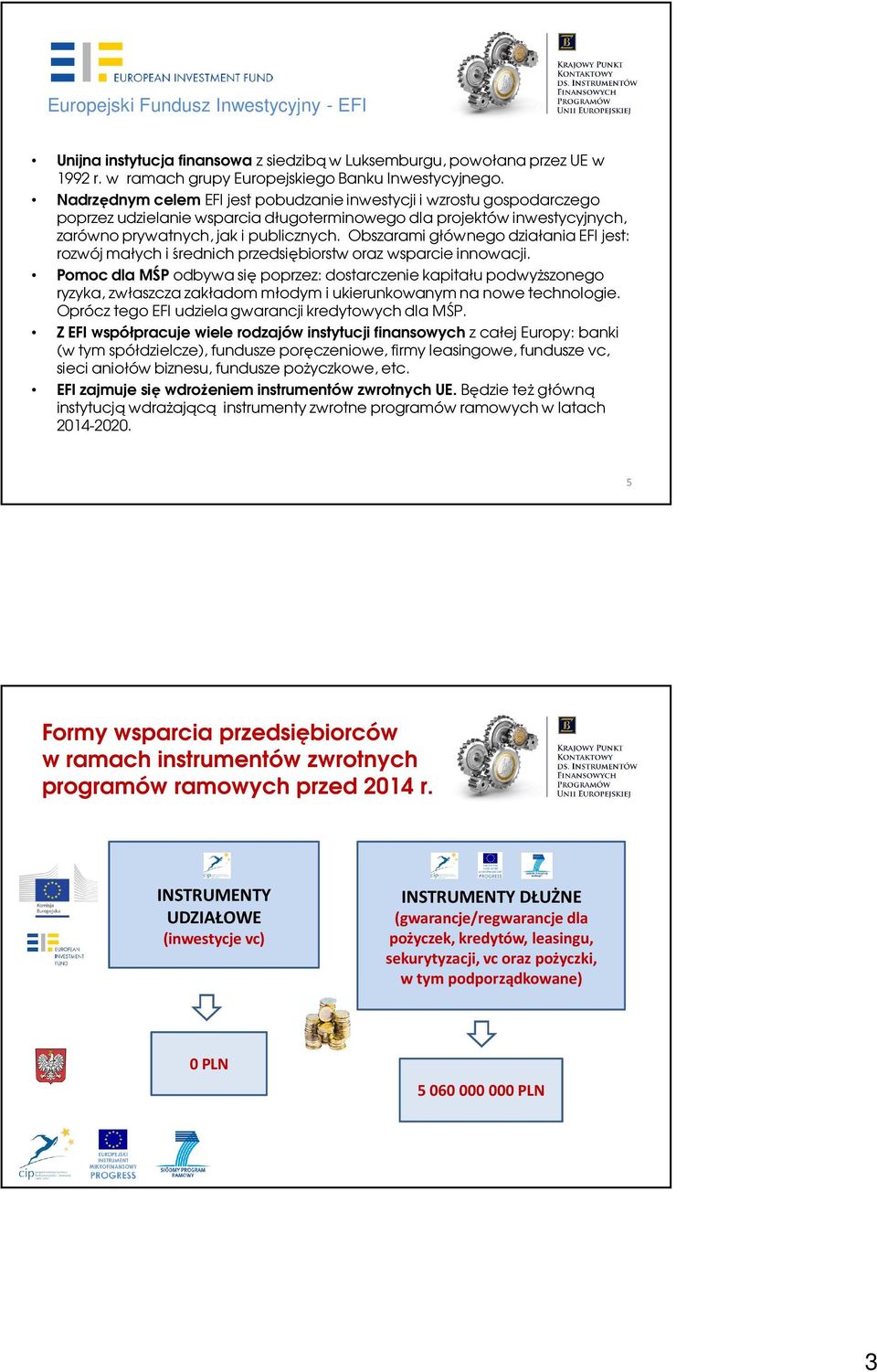 Obszarami głównego działania EFI jest: rozwój małych i średnich przedsiębiorstw oraz wsparcie innowacji.